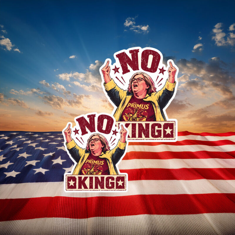 Funny Aunt Sue No Kings Protest Stickers